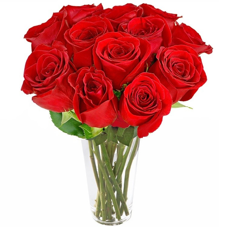 Maravilhosas Rosas Vermelhas no Vaso