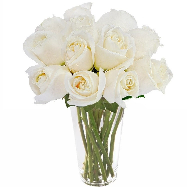 Maravilhosas Rosas Brancas no Vaso