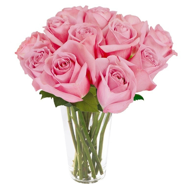 Maravilhosas Rosas Cor de Rosa no Vaso