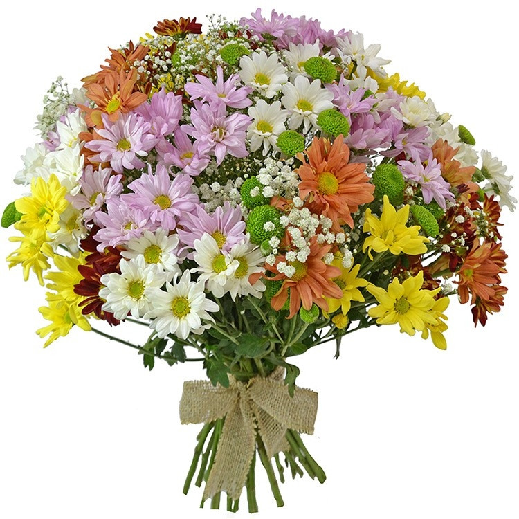 Surpresa de Flores do Campo