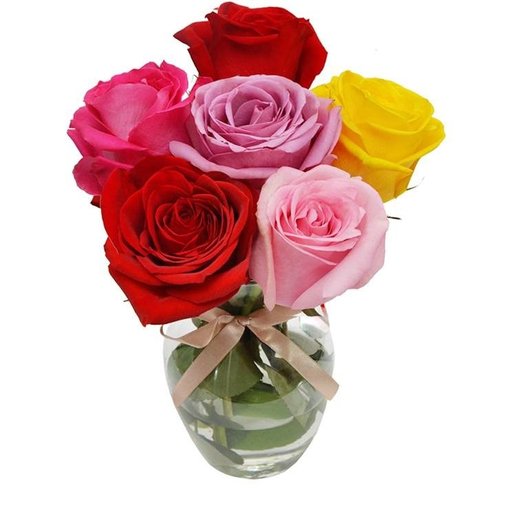 Delicado Arranjo de Rosas Coloridas