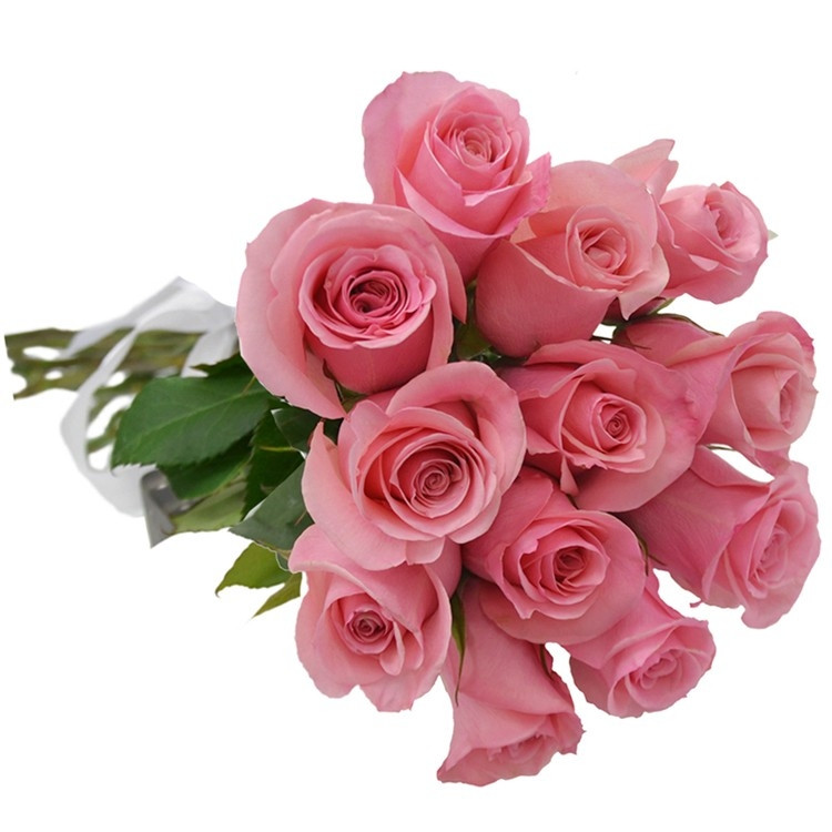 Buquê 12 Rosas Cor de Rosa