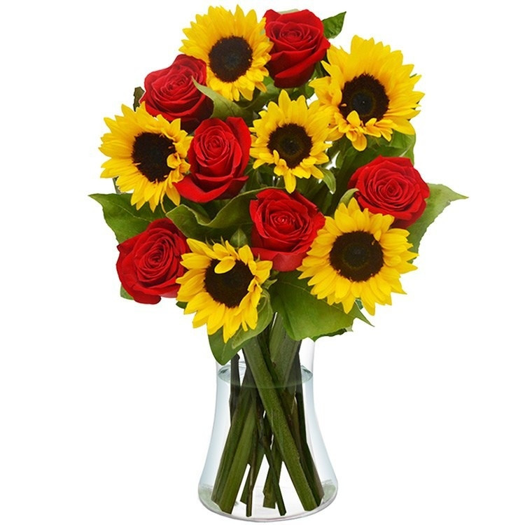 Luxuosos Girassóis e Rosas Vermelhas