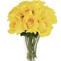 Maravilhosas Rosas Amarelas no Vaso