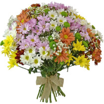 Surpresa de Flores do Campo