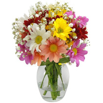 Delicado Arranjo de Flores Silvestres