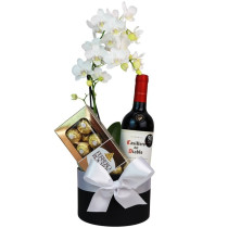 Sofisticada Mini Orquídea Branca e Vinho