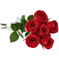 Buquê 6 Rosas Vermelhas
