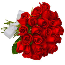 Buquê 24 Rosas Vermelhas