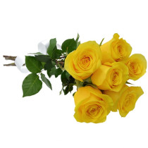 Buquê 6 Rosas Amarelas
