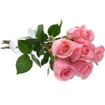 Buquê 6 Rosas Cor de Rosa