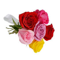 Buquê 6 Rosas Coloridas