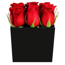 Rosas Vermelhas no Box
