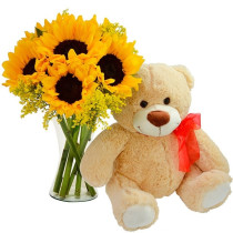 Encanto de 6 Girassóis e Pelúcia