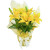 Lírio Amarelo Plantado