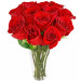 Maravilhosas Rosas Vermelhas no Vaso