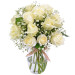Elegância das Rosas Brancas