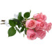 Buquê 6 Rosas Cor de Rosa