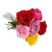 Buquê 6 Rosas Coloridas